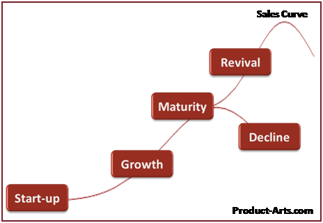 organizational_life_cycle